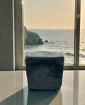 Charcoal Pine Detox Full-Body Soap